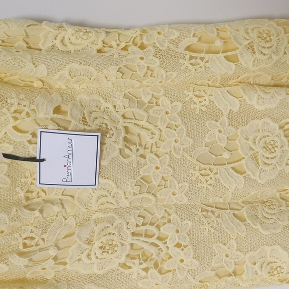 Premier Amour Sleeveless Lace Sheath Dress - Picture 6 of 6